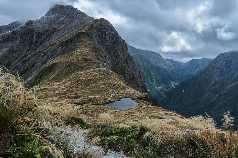 New Zealand Adventure